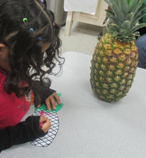 MassFarm Fresh classroom activity