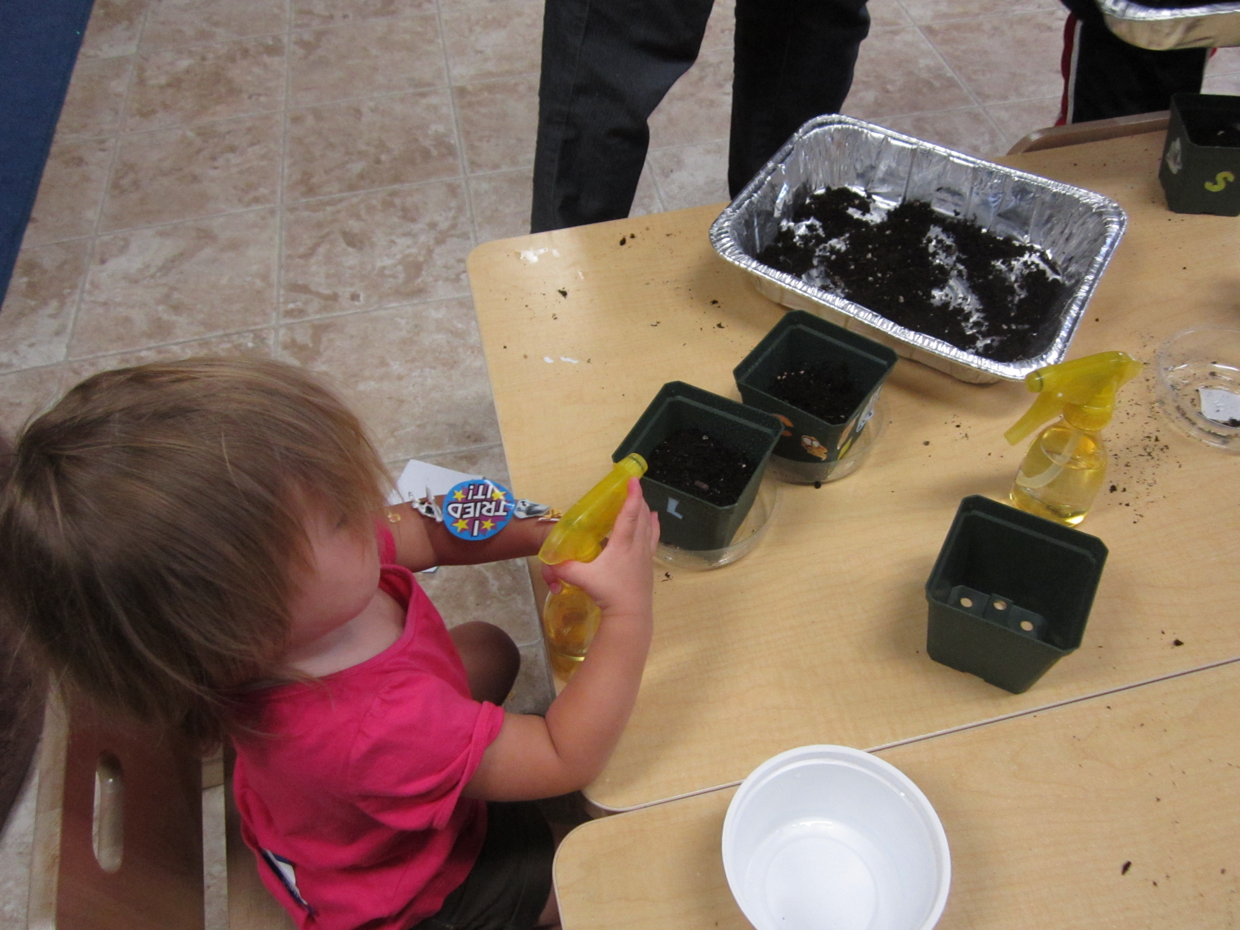 MassFarm Fresh classroom activity